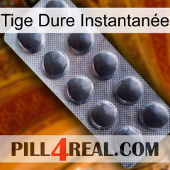 Tige Dure Instantanée 30